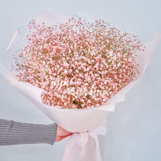 Букет из 25 нежно-розовых гипсофил