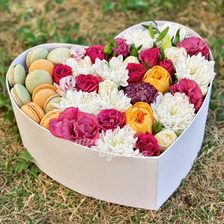 10 макарун с хризантемами в коробке (крупный план)