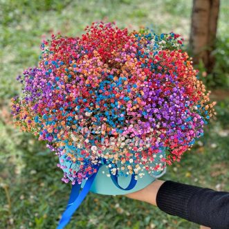 Разноцветная гипсофила в шляпной коробке