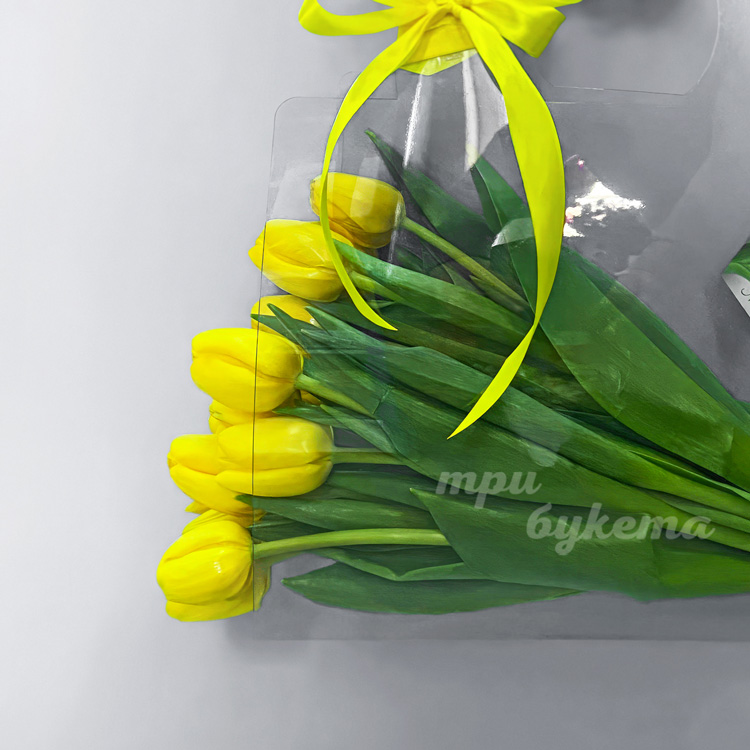 Сумочка с тюльпанами на 8 марта (крупный план)